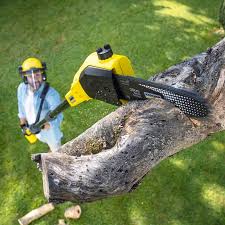 Best Lawn Pest Prevention  in Kalaeloa, HI